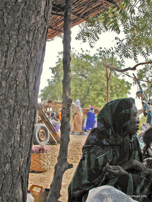 No vestido de mercado, casca de árvore e mulher - Senegal