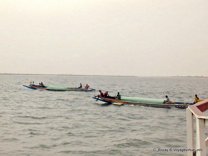 Pescadores no processo de navegar o Saloum - Senegal