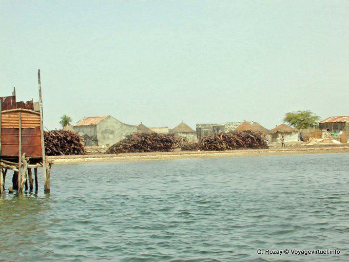 Madeiras preciosas pelo rio - Senegal