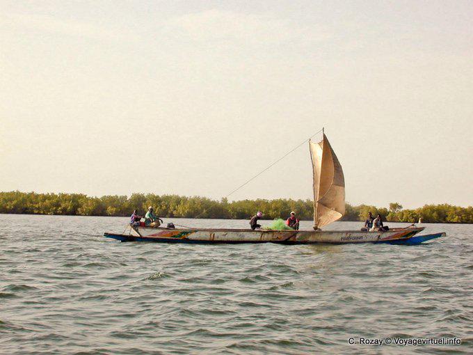 Saloum barco rio subindo a vela - Senegal