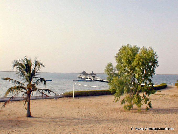 Areia, árvore e delta, Sine-Saloum - Senegal
