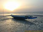 Deitada sobre as margens do Sine Saloum, Senegal.