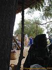 No vestido de mercado, casca de árvore e mulher, Senegal.