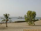 Areia, árvore e delta, Sine-Saloum, Senegal.