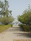 Nos jardins do hotel Foundiougne, em frente ao cais, Senegal.