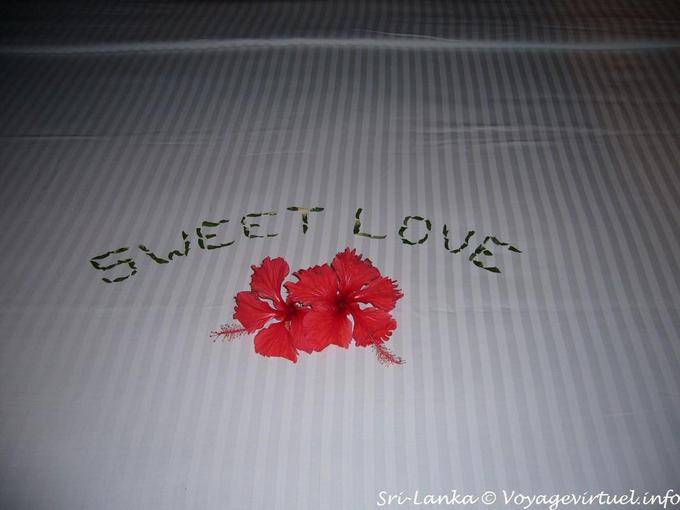 Doce amor hotel Eden Spa Beruwela - Ceilão Sri Lanca
