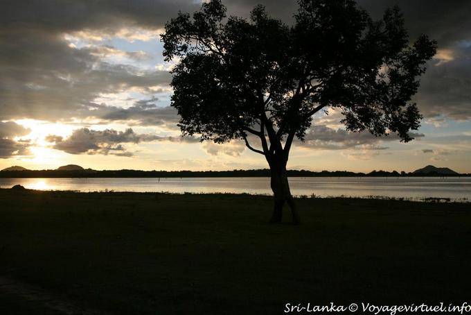 Sombras chinesas, Kandalama Lake - Ceilão Sri Lanca