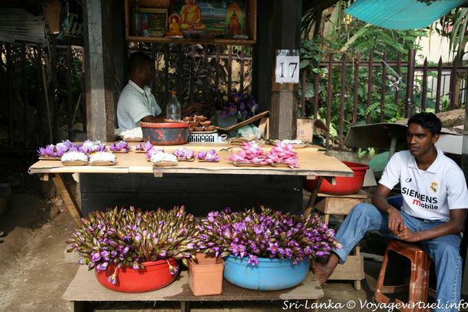 Pequena barraca de um comerciante flor, Kandy - Ceilão Sri Lanca