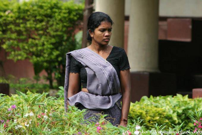 Mulher nova no sari cinzento em um jardim, Kandy - Ceilão Sri Lanca