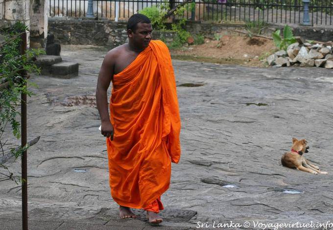 Monk em sua veste açafrão, Gadaladeniya Temple, Kandy - Ceilão Sri Lanca