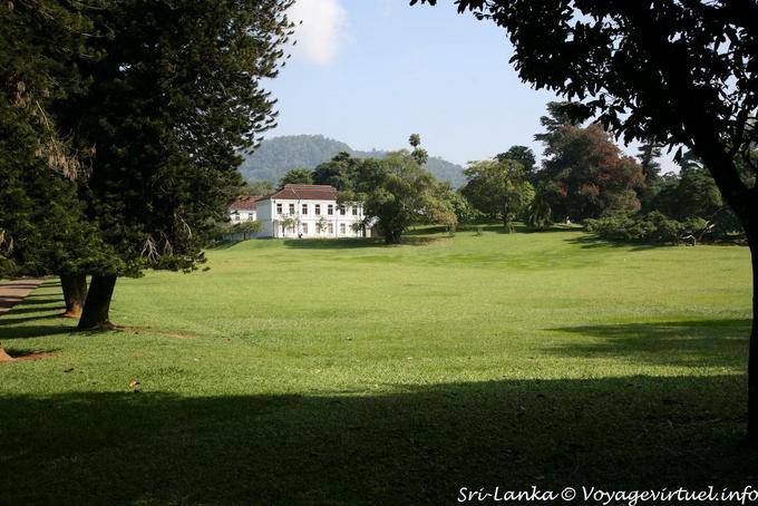 Peradeniya Botanical Park Kandy (Royal Botanic Garden) - Ceilão Sri Lanca