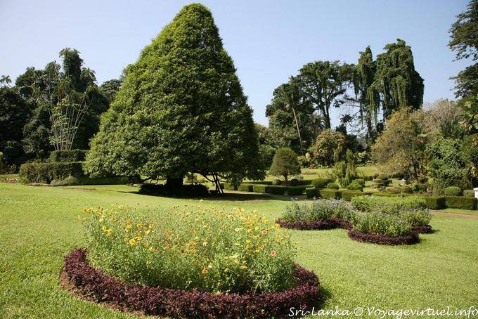 Canteiros e diversidade de árvores, Royal Botanic Gardens, Peradeniya - Ceilão Sri Lanca