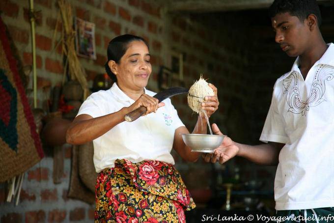 Nozes copo para beber leite de coco, Nalanda - Ceilão Sri Lanca