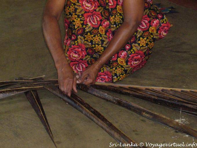 Use coco, confecção com nadadeiras, Nalanda - Ceilão Sri Lanca