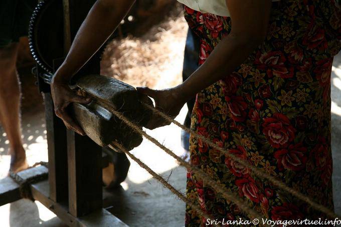 Fibras do recheio de coco usado para a fabricação de cordas, Nalanda - Ceilão Sri Lanca