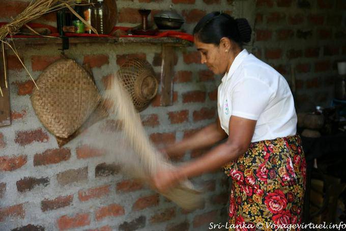 Especialista gesto usos múltiplos de coco, Nalanda - Ceilão Sri Lanca