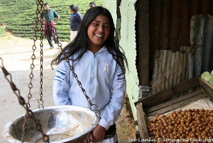 Pouco de diversão para o mercado camponês Nuwara Eliya - Ceilão Sri Lanca