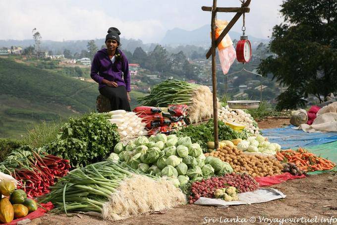 Banca de legumes frescos no lado da estrada, Nuwara Eliya - Ceilão Sri Lanca