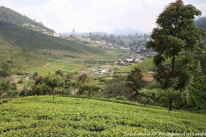 Panorama das alturas que chegam em Nuwara Eliya - Ceilão Sri Lanca