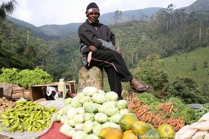 Vendedor de vegetais na parte superior Nuwara Eliya - Ceilão Sri Lanca