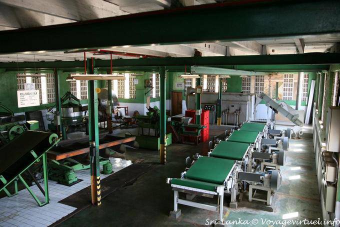 Classificando pausa para o chá quarto, Glenloch Tea Factory, PBC estrada - Ceilão Sri Lanca