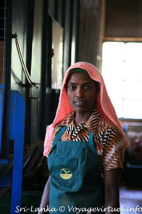 Retrato de um trabalhador, fábrica Glenloch Tea, em torno de Nuwara Eliya - Ceilão Sri Lanca