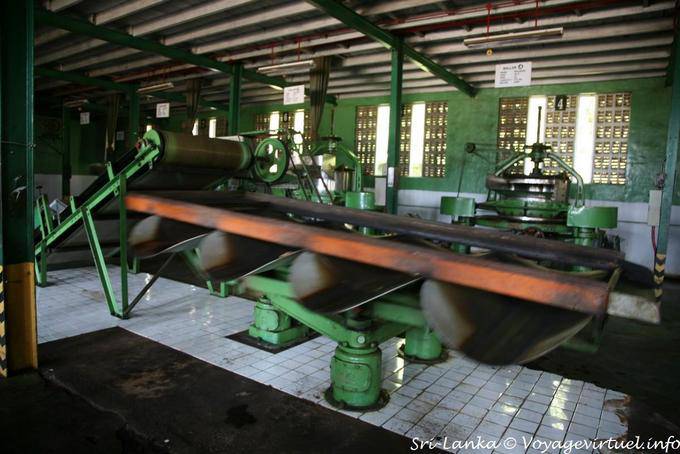 Máquinas em uma das oficinas do Glenloch Tea Factory, Nuwara Eliya - Ceilão Sri Lanca