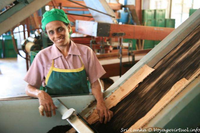 Trabalhadores caixas de chá, Glenloch fábrica de chá, em Nuwara Eliya - Ceilão Sri Lanca