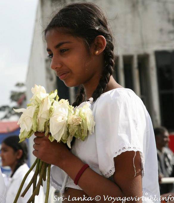 Rapariga com flores brancas, Procissão Nuwara Eliya - Ceilão Sri Lanca