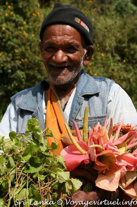 Visage du Sri-Lanka Ramboda