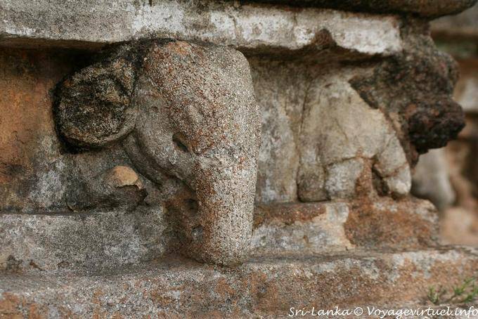 Elefante cinzelado, Kalu Gal Vihara, Polonnaruwa - Ceilão Sri Lanca