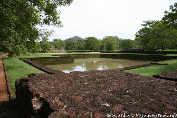 Bacia pad nos jardins de Sigiriya - Ceilão Sri Lanca