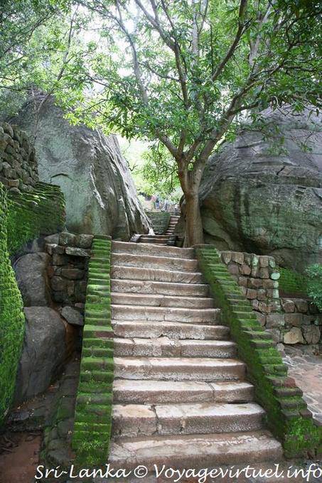 Sigiriya, bolas escadas entre rochas no pé da rocha - Ceilão Sri Lanca
