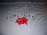 Doce amor hotel Eden Spa Beruwela, Ceilão Sri Lanca.