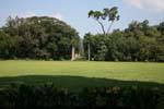 Copa das árvores e aléia de palmeiras, Jardim Botânico de Peradeniya, Ceilão Sri Lanca.