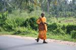 Budista velho monge caminhando ao longo da estrada, Kurunegala, Ceilão Sri Lanca.