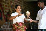 Nozes copo para beber leite de coco, Nalanda, Ceilão Sri Lanca.