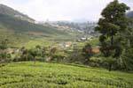 Panorama das alturas que chegam em Nuwara Eliya, Ceilão Sri Lanca.