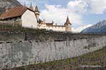 Montanhas, vinhedos e Aigle Castelo, A Suíça.
