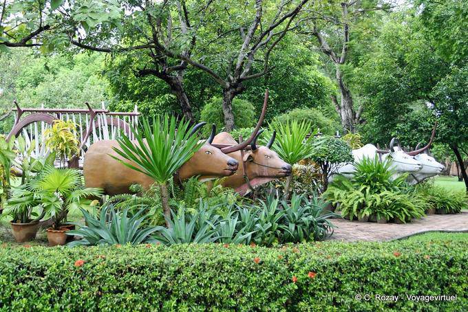 Madeira Zebu, Wat Yai Chai Mongkol, Ayutthaya - Tailândia