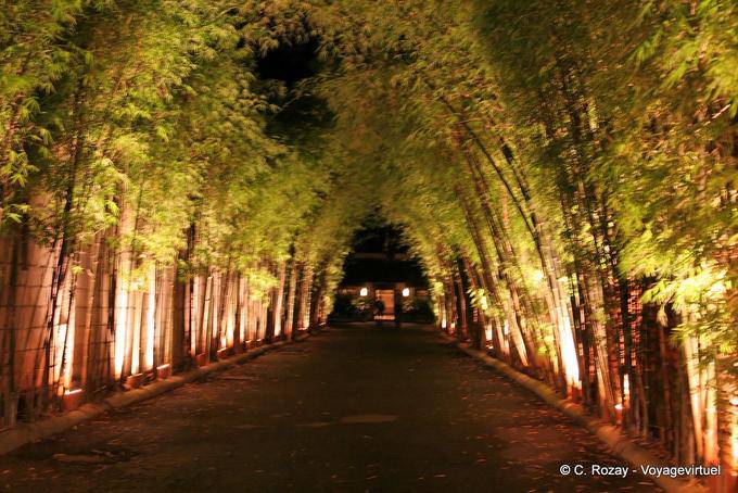 Bambu Driveway, Chiang Mai - Tailândia