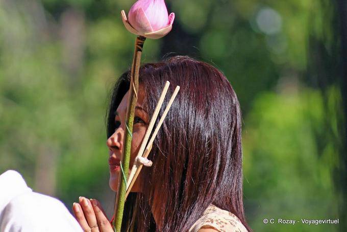 Fervorosa oração com lótus, Chiang Mai Temple - Tailândia