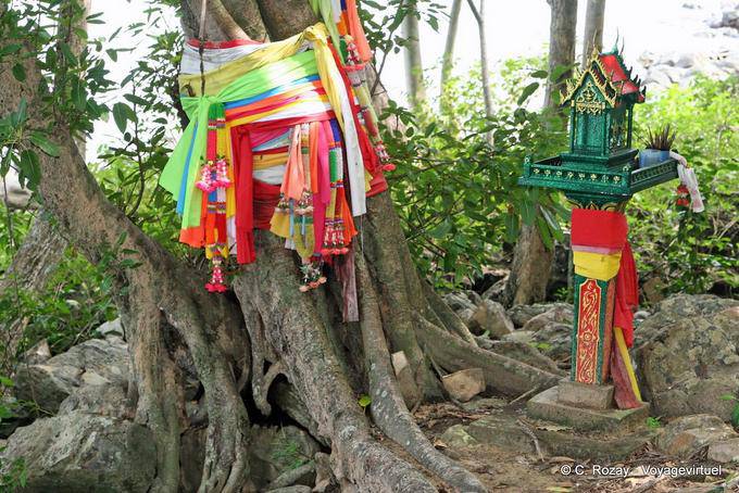 Devoção na floresta, Koh Phi Phi - Tailândia