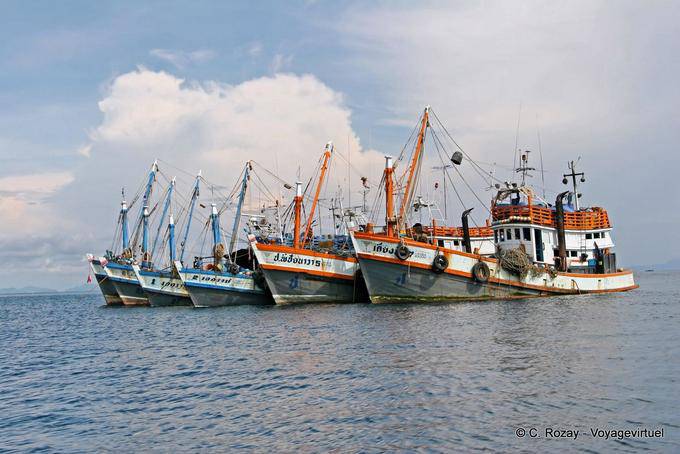 Uma armada de arrastões, Koh Phi Phi - Tailândia