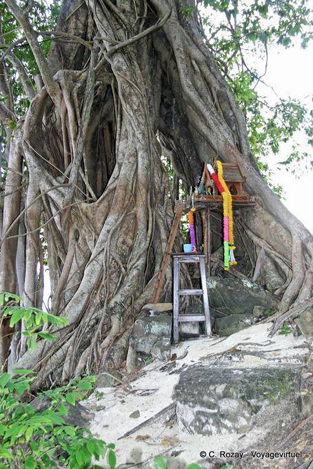 Altar nas raízes, Koh Phi Phi - Tailândia