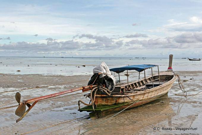 Cauda longa na maré baixa, Koh Phi Phi - Tailândia