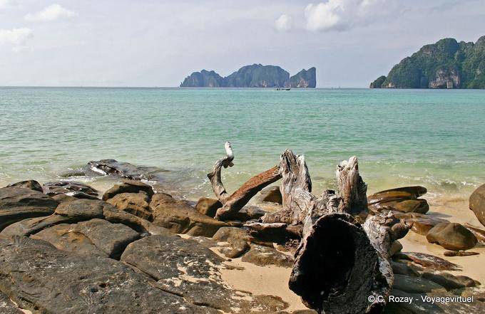 Driftwood no mar, Koh Phi Phi - Tailândia