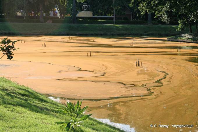 Moat cores, Parque Histórico, Sukhothai - Tailândia