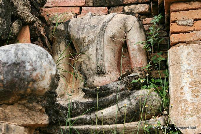 Cabeça rasgado, Sukhothai, Wat Mahathat - Tailândia