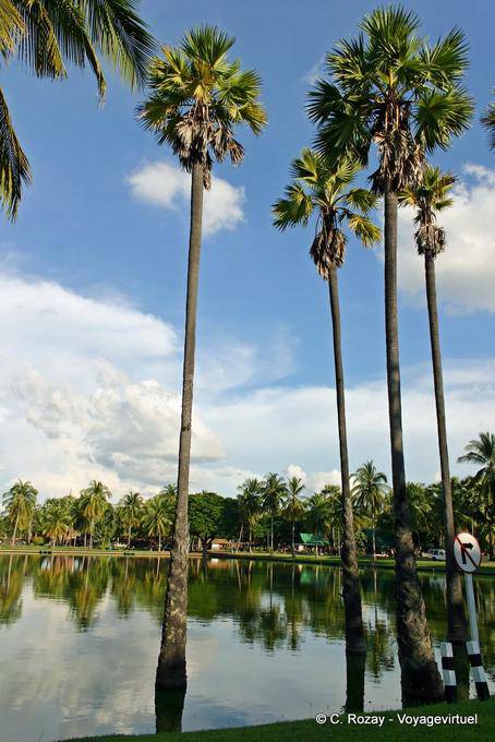 Lagoa e palmeiras, Sukhothai, Wat Trapang Ngoen - Tailândia